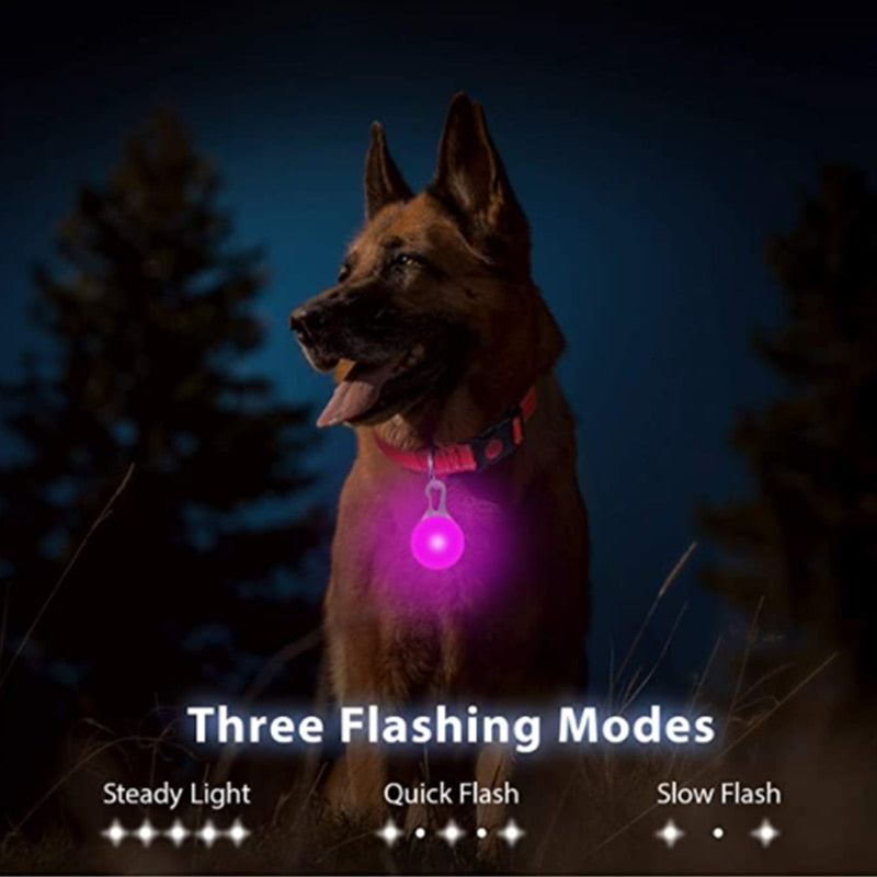 LED Glowing Pendant Flashlight Dog Cat Collar Pet Leads Glow Accessories Collar Night Safety Decor
