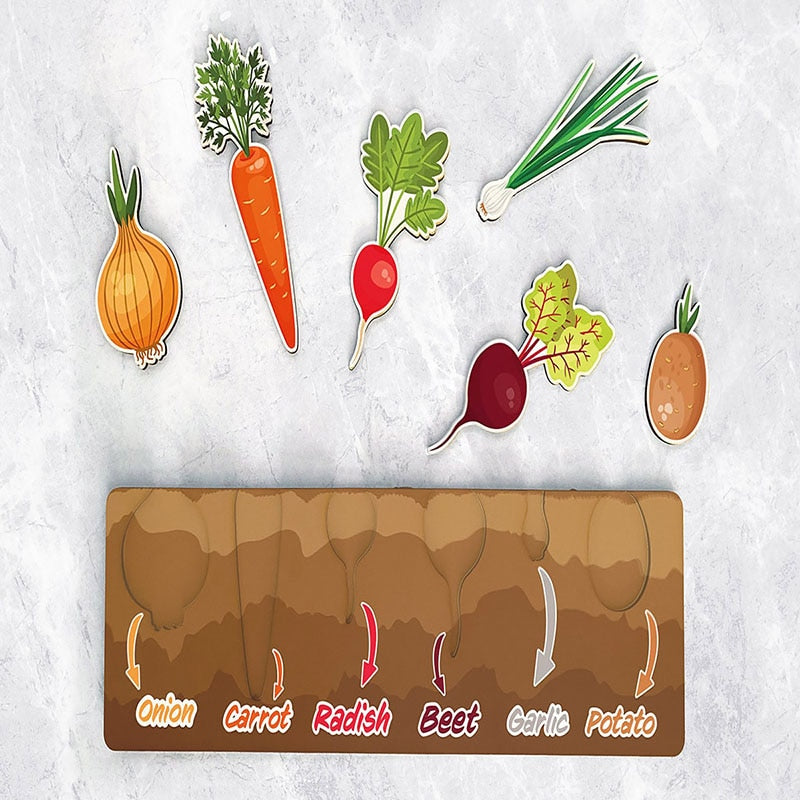 Montessori Toys for 1 Year Baby Pull Carrot Set Game Kids Wooden Toy Shape Sorting Matching Puzzle Educational Toys for Children