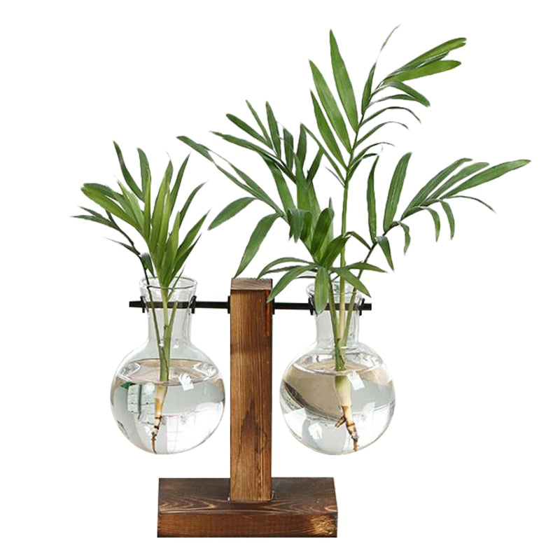 Terrarium Hydroponic Plant Vases Vintage Flower Pot Transparent Vase Wooden Frame Glass Tabletop Plants