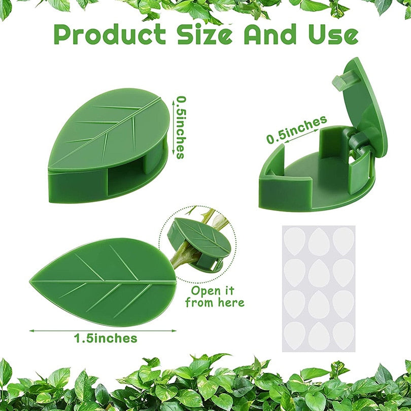 Plant Fixture Clip Plant Climbing Wall Self-Adhesive Fastener Tied Fixture Vine Buckle Hook