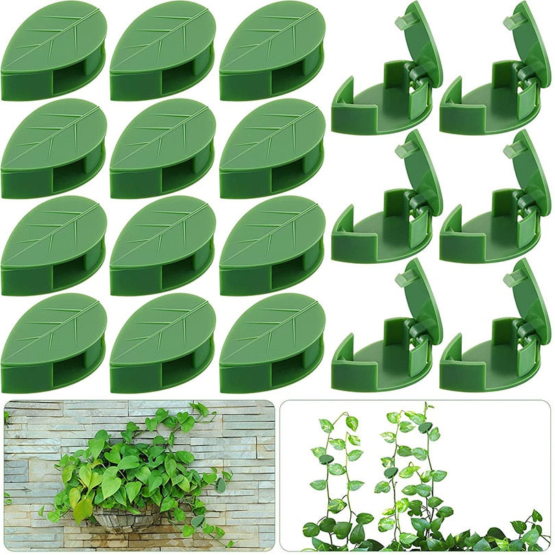 Plant Fixture Clip Plant Climbing Wall Self-Adhesive Fastener Tied Fixture Vine Buckle Hook