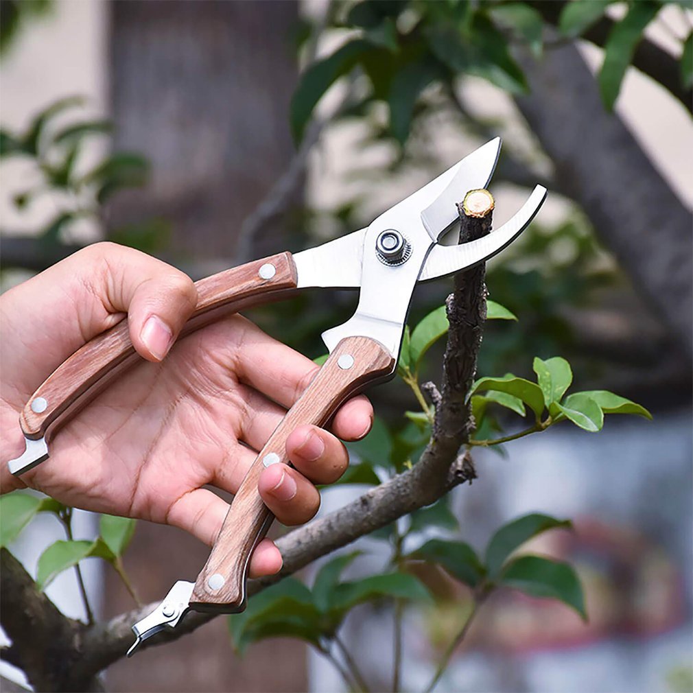 Wood Handle Pruning Scissors Garden Scissors Tree Trimmers Secateurs Multifunctional Pruning Shears Gardening Tool