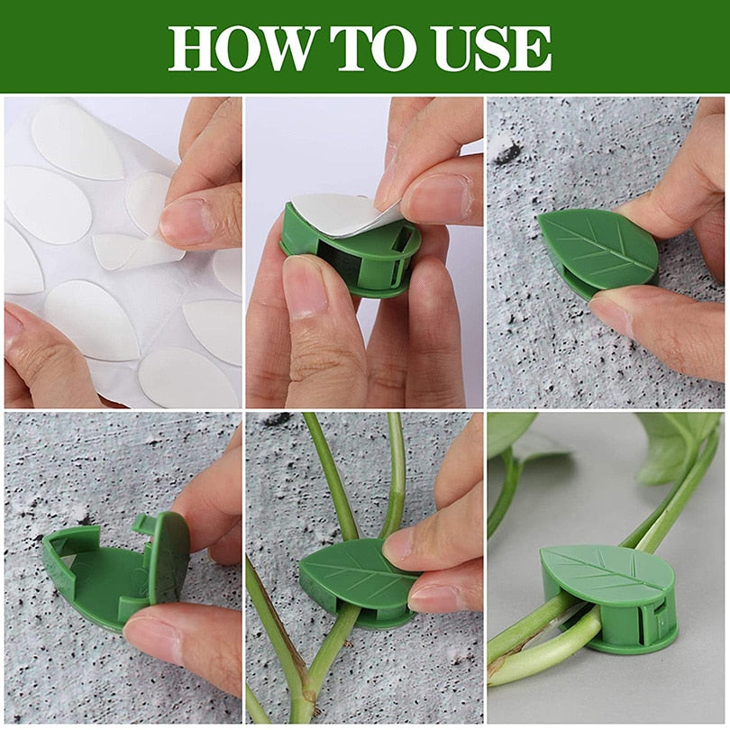 Plant Fixture Clip Plant Climbing Wall Self-Adhesive Fastener Tied Fixture Vine Buckle Hook