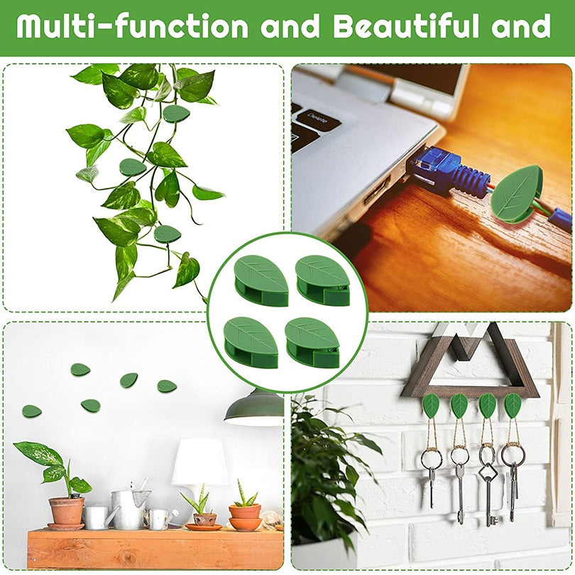 Plant Fixture Clip Plant Climbing Wall Self-Adhesive Fastener Tied Fixture Vine Buckle Hook