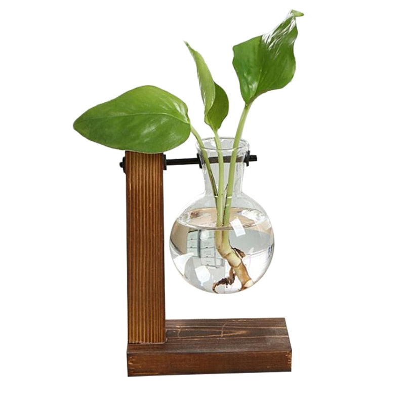 Terrarium Hydroponic Plant Vases Vintage Flower Pot Transparent Vase Wooden Frame Glass Tabletop Plants