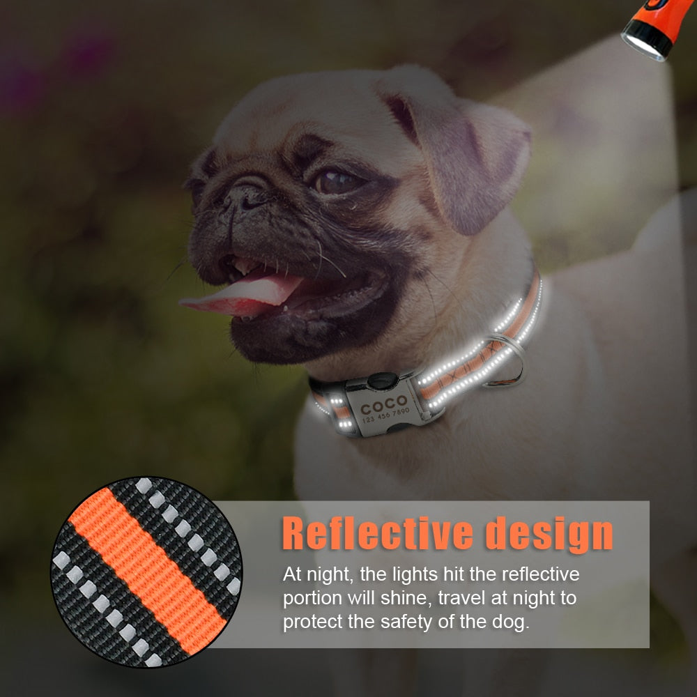 Nylon Dog Collar Personalized Pet Collar