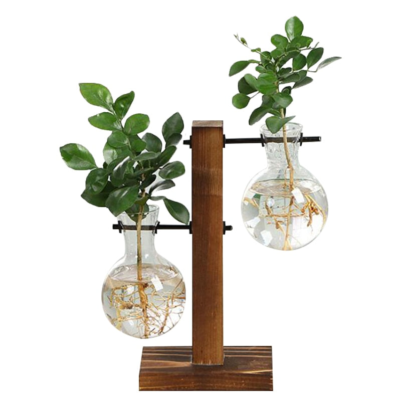 Terrarium Hydroponic Plant Vases Vintage Flower Pot Transparent Vase Wooden Frame Glass Tabletop Plants