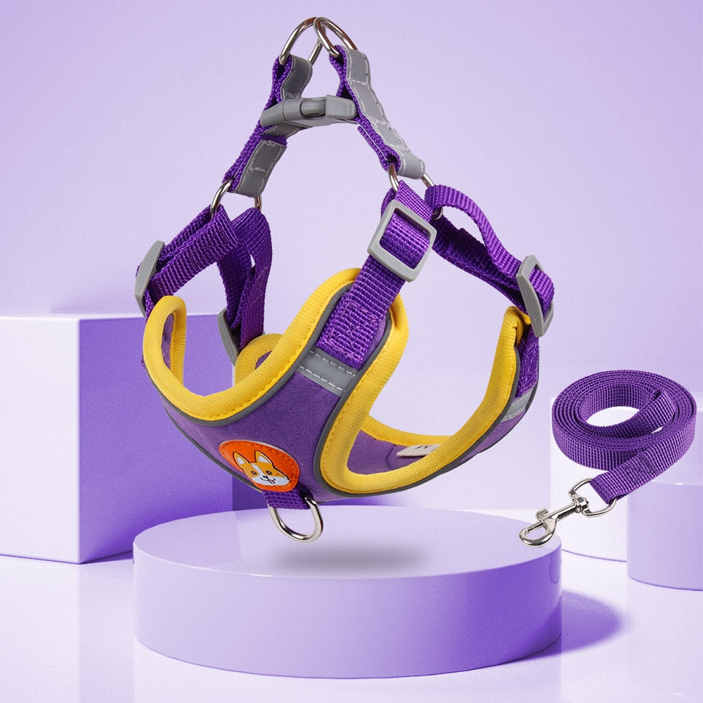 New Pet Dog Harness Leash