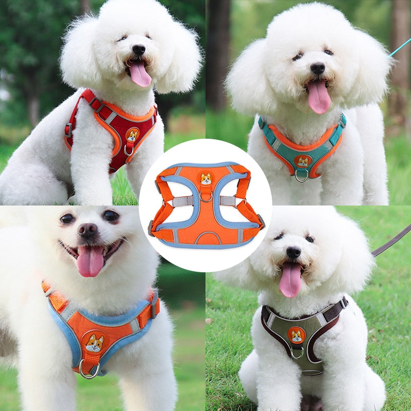 New Pet Dog Harness Leash