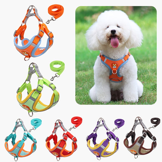 New Pet Dog Harness Leash