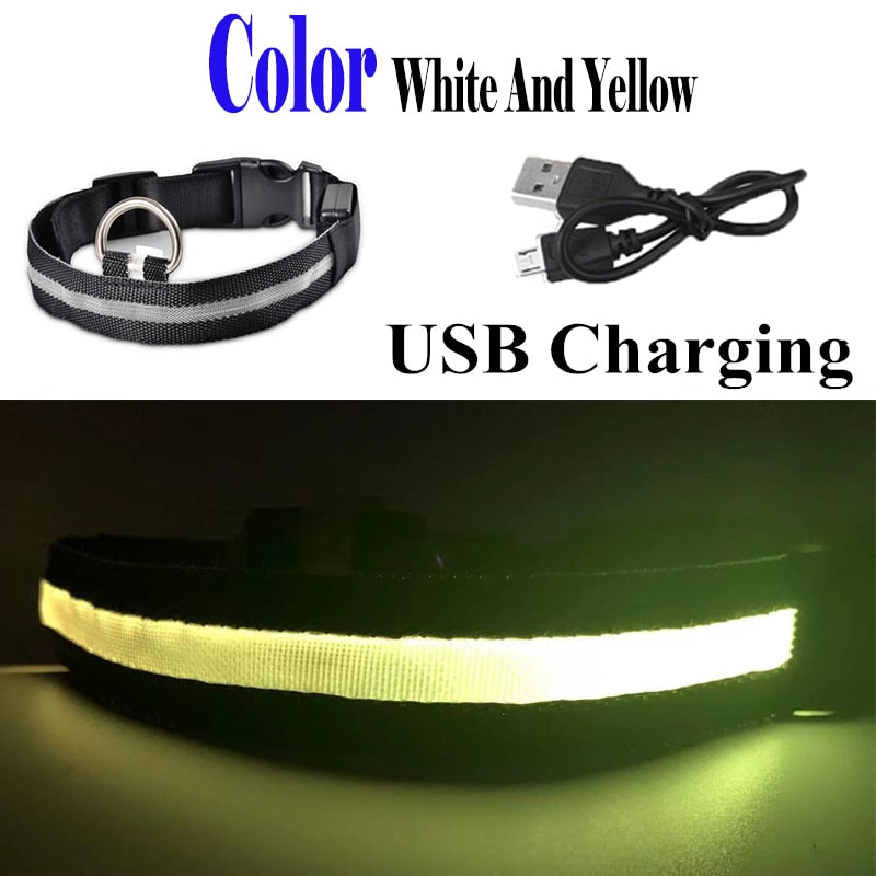 USB Rechargeable Pet Dog LED Glowing Collar  Luminous Flashing Necklace Outdoor Walking  Night Safety Supplies