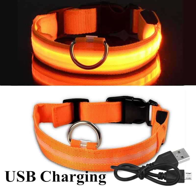 USB Rechargeable Pet Dog LED Glowing Collar  Luminous Flashing Necklace Outdoor Walking  Night Safety Supplies