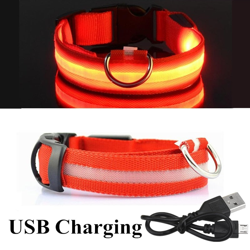 USB Rechargeable Pet Dog LED Glowing Collar  Luminous Flashing Necklace Outdoor Walking  Night Safety Supplies