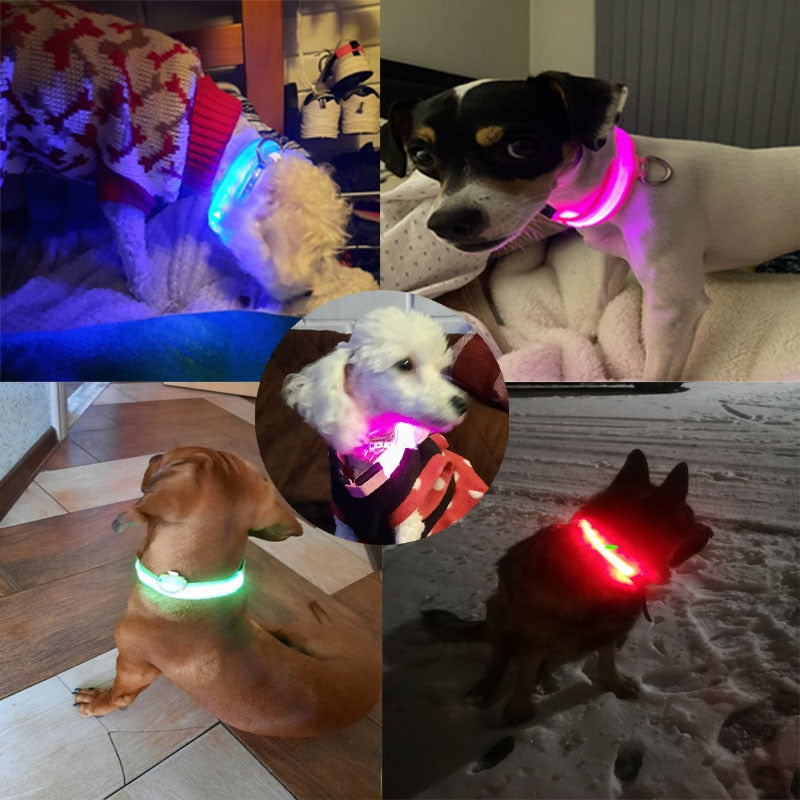 USB Rechargeable Pet Dog LED Glowing Collar  Luminous Flashing Necklace Outdoor Walking  Night Safety Supplies