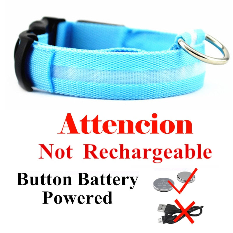 USB Rechargeable Pet Dog LED Glowing Collar  Luminous Flashing Necklace Outdoor Walking  Night Safety Supplies