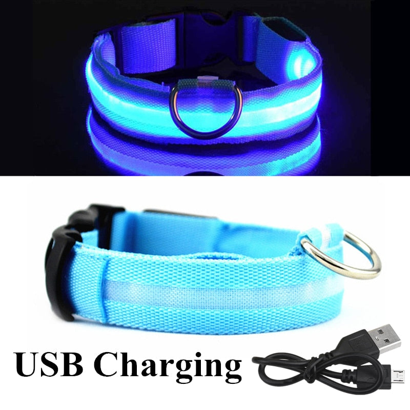 USB Rechargeable Pet Dog LED Glowing Collar  Luminous Flashing Necklace Outdoor Walking  Night Safety Supplies