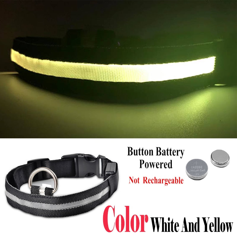 USB Rechargeable Pet Dog LED Glowing Collar  Luminous Flashing Necklace Outdoor Walking  Night Safety Supplies