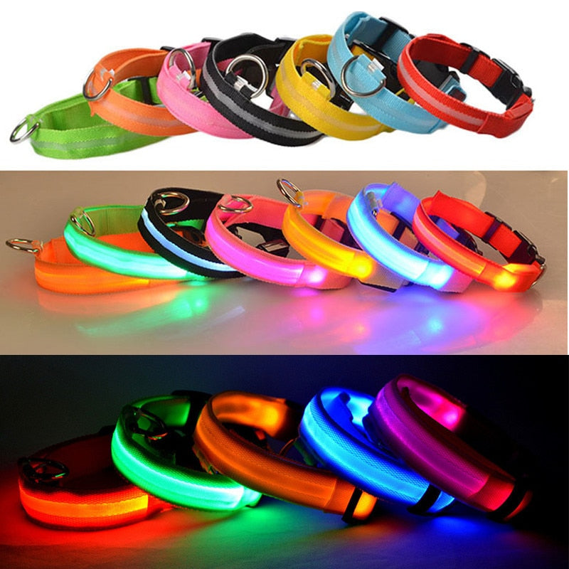 USB Rechargeable Pet Dog LED Glowing Collar  Luminous Flashing Necklace Outdoor Walking  Night Safety Supplies