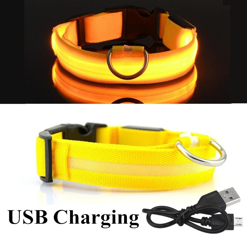 USB Rechargeable Pet Dog LED Glowing Collar  Luminous Flashing Necklace Outdoor Walking  Night Safety Supplies