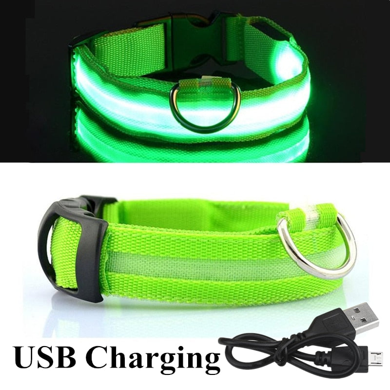 USB Rechargeable Pet Dog LED Glowing Collar  Luminous Flashing Necklace Outdoor Walking  Night Safety Supplies