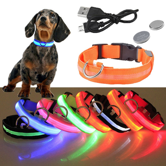 USB Rechargeable Pet Dog LED Glowing Collar  Luminous Flashing Necklace Outdoor Walking  Night Safety Supplies