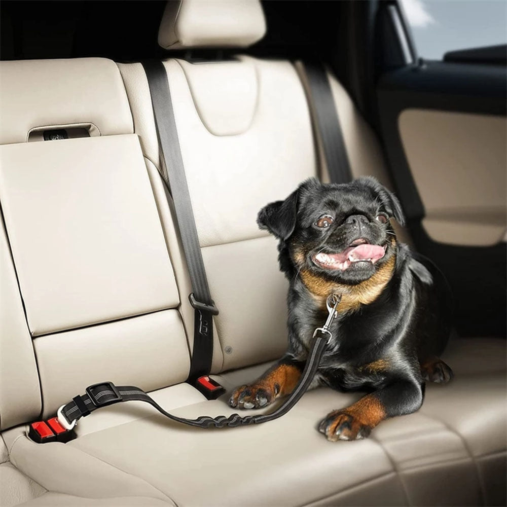 Dog Seat Belt Car Seatbelt Harness for Dogs Adjustable Durable Nylon Reflective Bungee Fabric Tether Car Travel Supplies for Pet